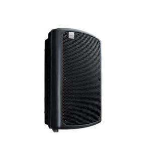 Ashton MAS15 15 Inch 250 Watt Passive Speaker